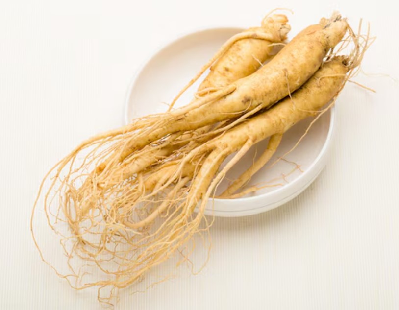 ჟენშენი